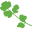 vegetable