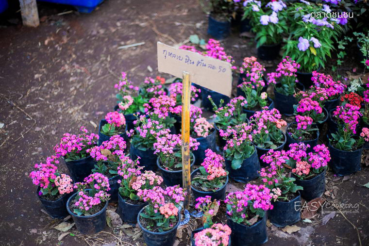 local_market4.jpg