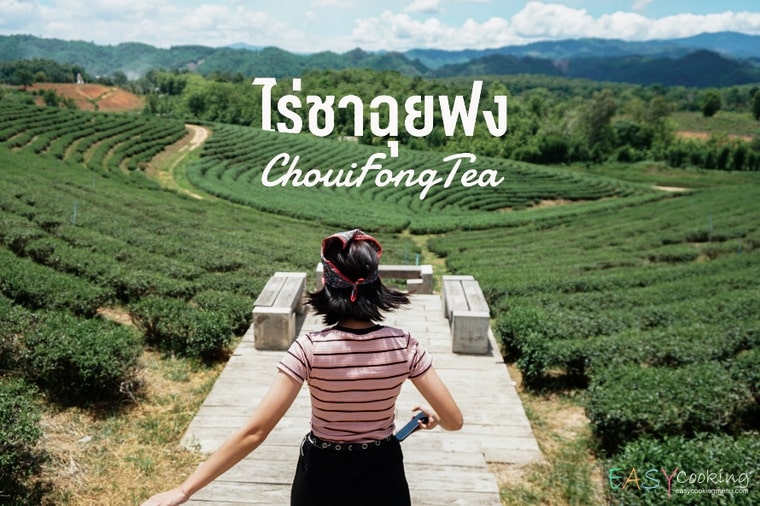ไร่ชาฉุยฟง