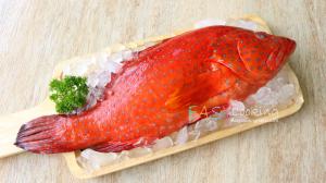 กลิ่นคาวในเนื้อปลาเกิดจากอะไร และวิธีขจัดกลิ่นเหม็นคาวปลา